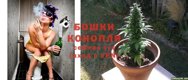 мяу мяу кристалл Михайлов